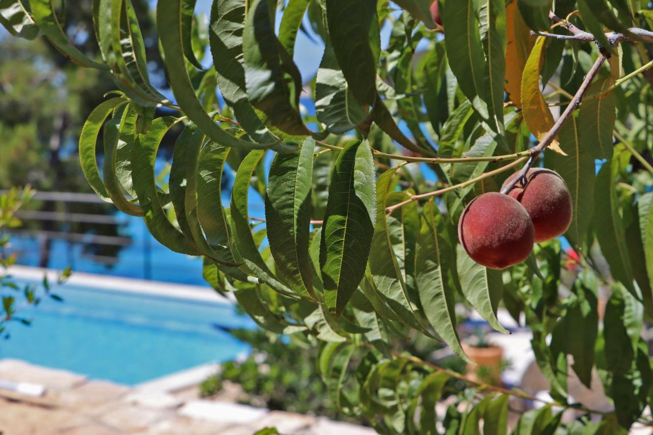 Vila Perla Βίλα Vela Luka Εξωτερικό φωτογραφία